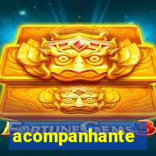 acompanhante executivo bahia